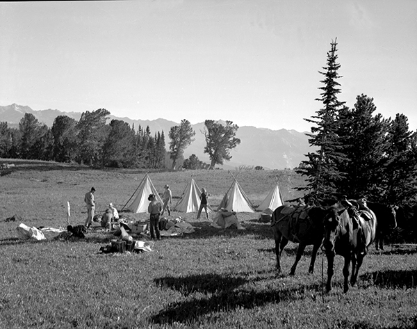 Pack Trip in the Spanish Peaks, Montana