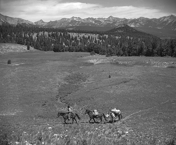 Pack Trip in the Spanish Peaks, Montana
