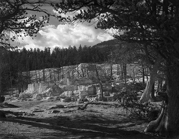 Angel Terrace, Yellowstone National Park, Wyoming