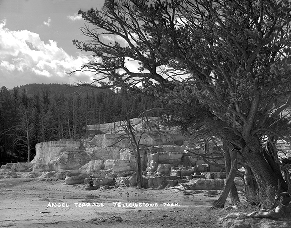 Angel Terrace, Yellowstone National Park, Wyoming