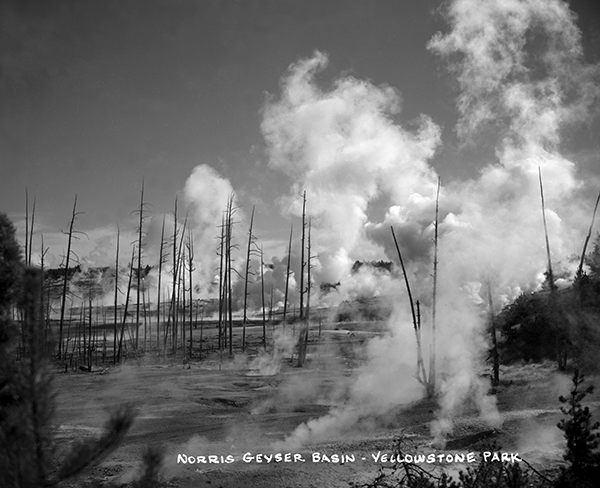 Norris Geyser Basin, Yellowstone National Park, Wyoming