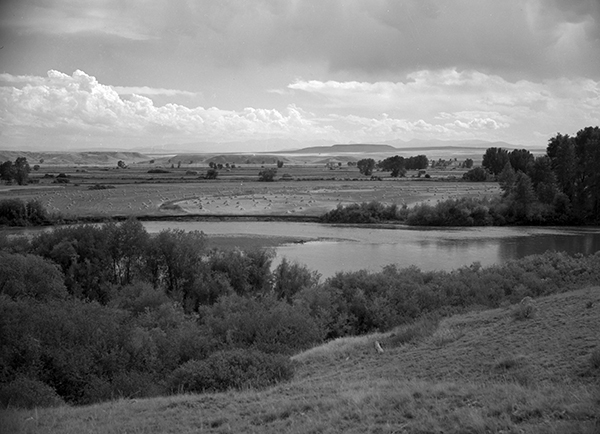 Jefferson River, Unknown Location, Montana