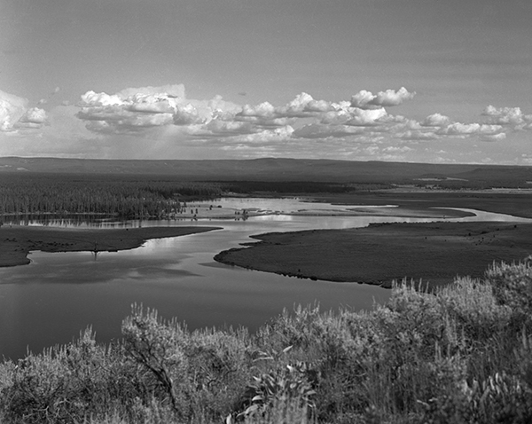 Yellowstone Scenic, Yellowstone National Park, Wyoming