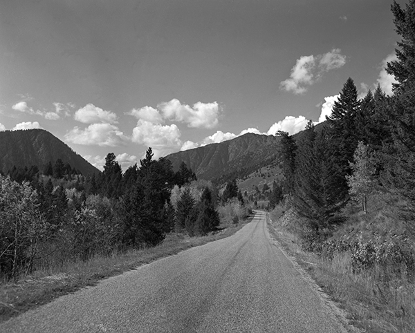 Scenic View Down A Road, Yellowstone National Park, Wyoming