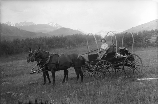 Young Man with Wagon and Team, Bozeman, Montana