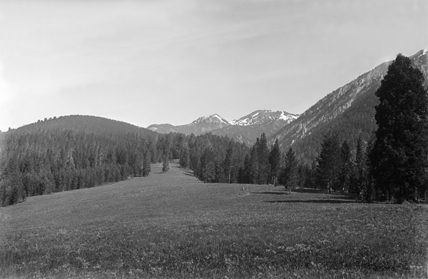 View of Mountain Meadow near Bozeman, Montana