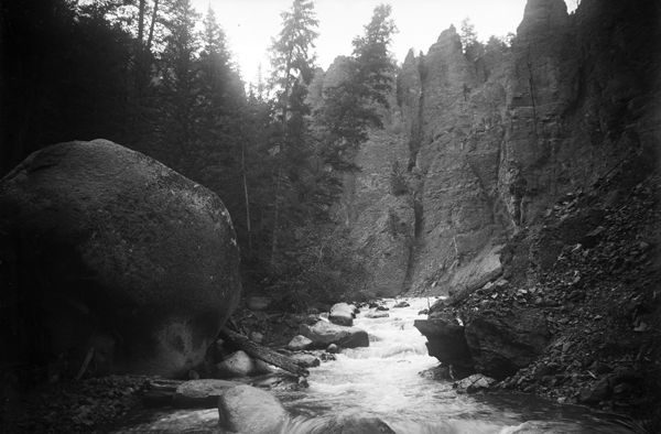 Tower Creek Above the Falls, Yellowstone National Park, Wyoming
