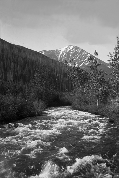 South Fork of Spanish Creek, Madison Range, near Bozeman, Montana