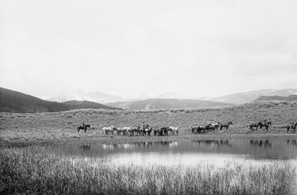 Horse Herd on Eldridge Creek, Nine Quarter Circle Dude Ranch, Gallatin Canyon, Montana