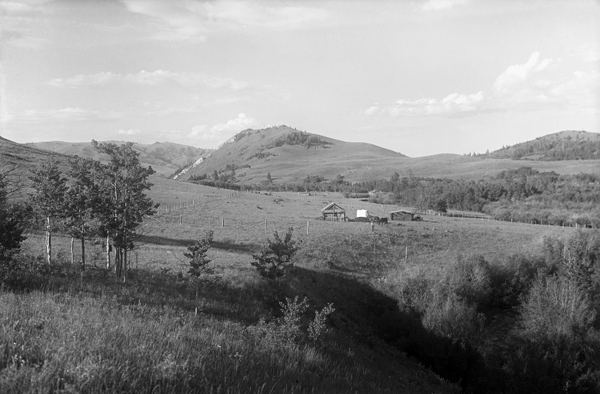 Cabin in Mountain Meadow, Unknown Location, Montana