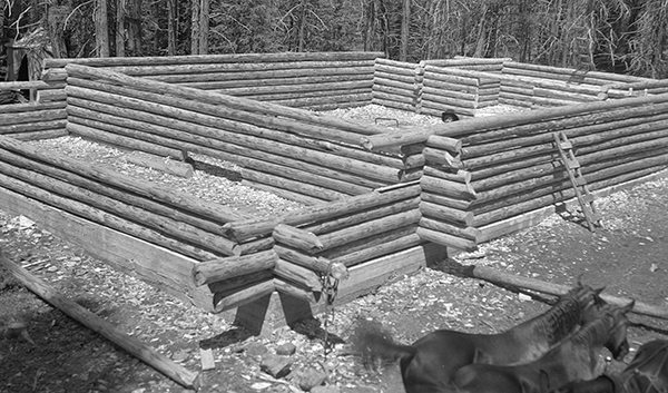 Scout Camp Log Cabin Construction, Hyalite Canyon, Montana