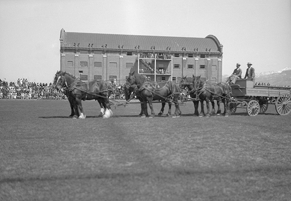 Six-Horse Team Pulling Wagon, Bozeman, Montana