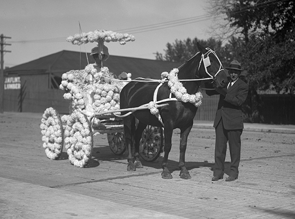 Horse Drawn Buggy in Sweet Pea Carnival, Bozeman, Montana