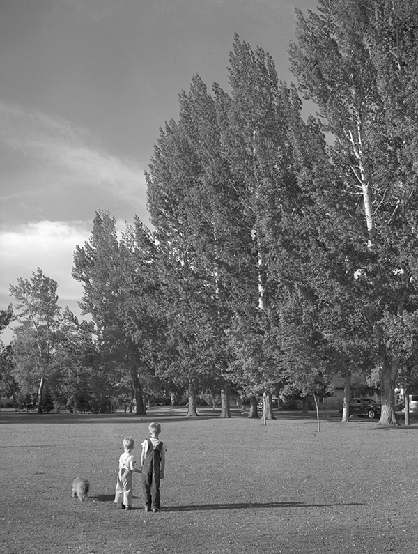 Two Boys in a Park, Bozeman, Montana