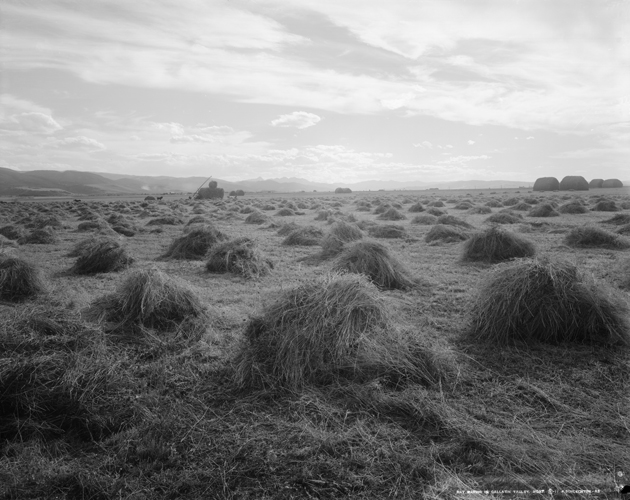 Hay Harvest in the Gallatin Valley, Bozeman, Montana