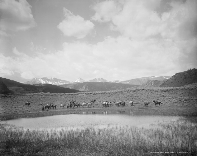 Horse Herd on Eldridge Creek, Nine Quarter Circle Dude Ranch, Gallatin Canyon, Montana