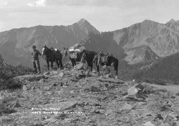 Schlechten With Horses, Spanish Peaks in the Madison Mountain Range, Montana