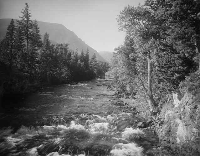 West Gallatin River, Gallatin Canyon Montana