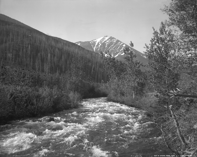Unknown Stream in the Spanish Peaks, Madison Range, Montana