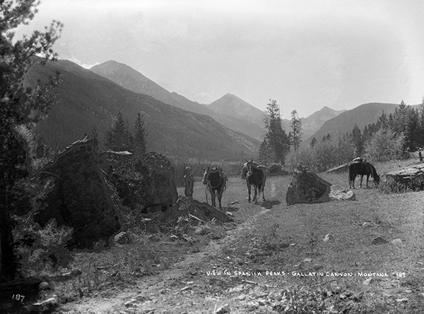 Albert Schlechten and Three Horses in the Spanish Peaks, Madison Range, Montana