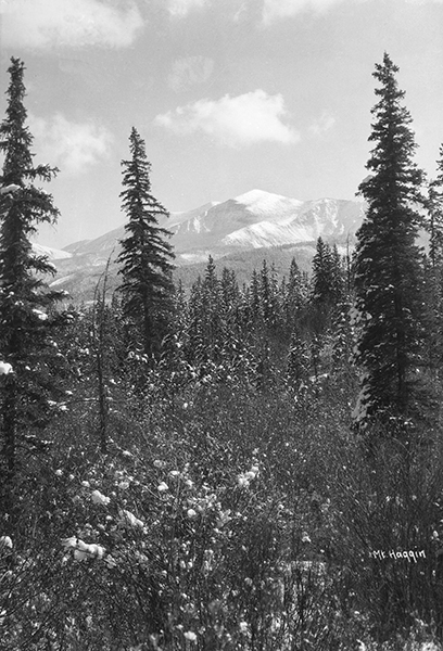 View of Mt. Haggin in the Anaconda Mountain Range, near Anaconda, Montana