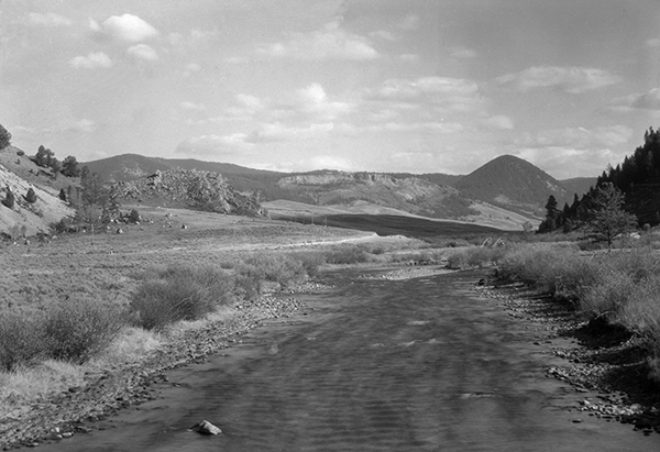 West Gallatin River, Flowing Through the Gallatin Canyon, Montana