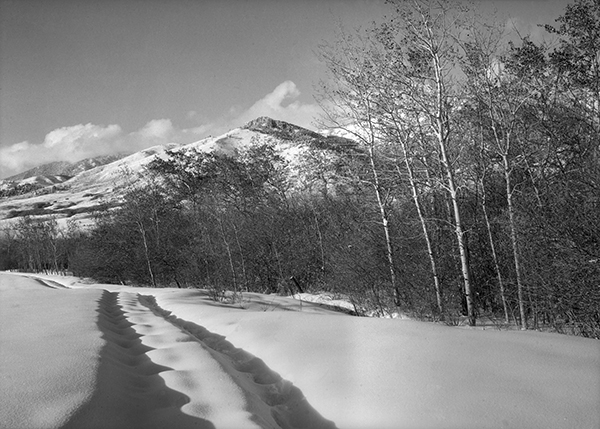 Springhill Area West of the Bridger Mountain Range Springhill, Montana
