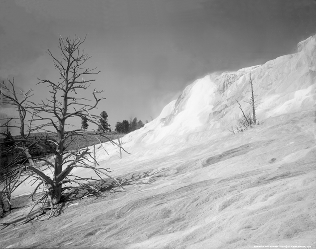 Mammoth Hot Springs, Yellowstone National Park, Wyoming