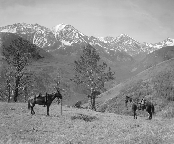 View of the Spanish Peaks in the Madison Range With Horses, Montana