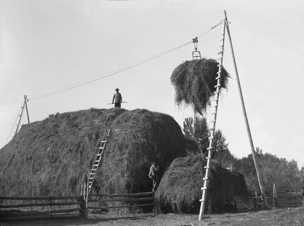 Stacking Hay on the Lamme Ranch Near Bozeman, Montana