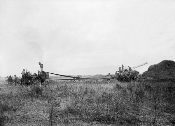 Threshing Engine and Separator, Bozeman, Montana