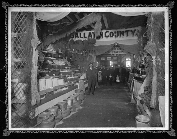 Produce Display, Gallatin County Fair, Bozeman, Montana