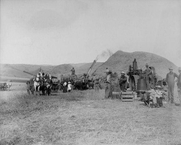Threshing on the Old 40 on Jacob Carolus Farm, Bozeman, Montana