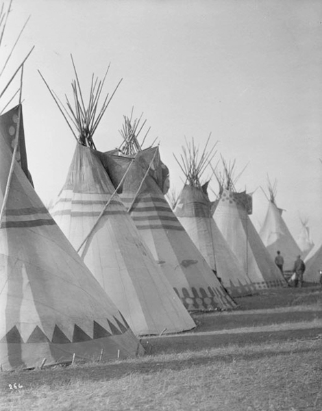 Indian Dwellings, Tipis Set Up In A Row, Unknown Location