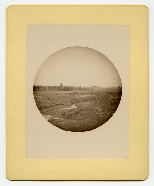 Field views in Yellowstone National Park, Wyoming Territory