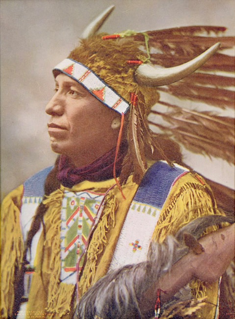 Unidentified Indian Man with Headdress of Feathers and Antlers