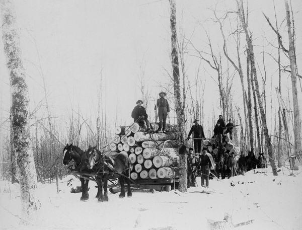 Lumberjacks and lumber wagons led by horses, Unknown Location