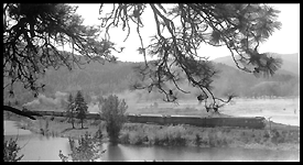 NP 2241, Class Q-5, with Train No. 1 along Clarks Forks River east of Plains, MT