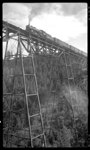 NP 1st No. 1, with NP 2232, Class Q-5 and NP 1594, Class W helping on the rear, on Marent Trestle.