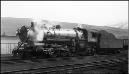 NP 2259, Class Q-6 locomotive in yards at Missoula, MT.