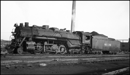 Large