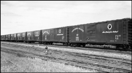 Newer NP box cars in yard at Jamestown, ND.