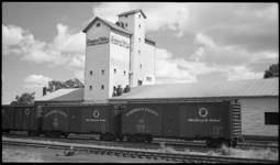 Grain