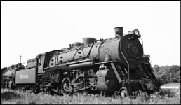 Coal