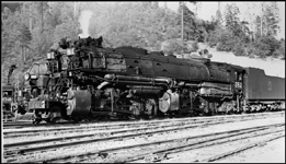WP 252 mallet locomotive in Keddie, CA.