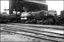 UP 3831, 4-6-6-4 at coal dock in Cheyenne, WY. Rear of tender on UP 9003 is also visible in photo.