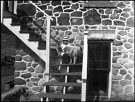 Ron Nixon at about 4 years old sitting on the steps of his folk's home in Gardiner, MT