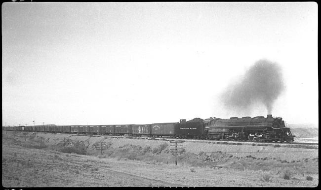 NP 5003, Class Z-5 with X5003E stock train east of Glendive