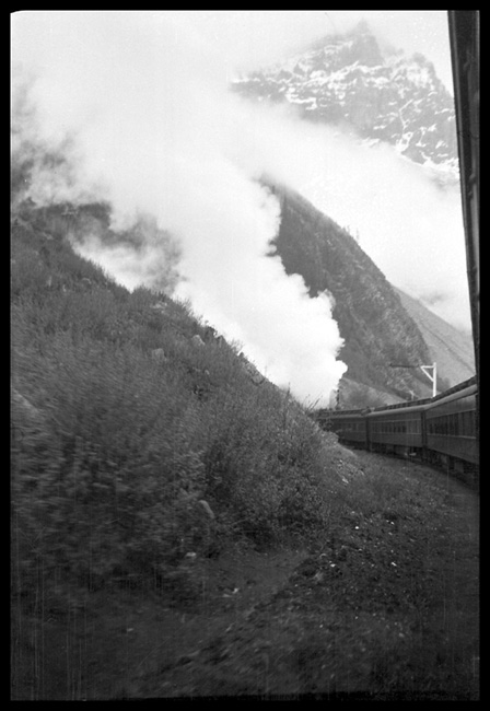 Steam