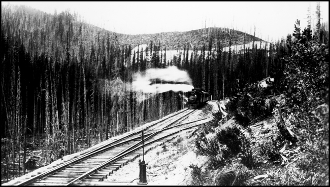 NP 398, Class E with passenger train at Tammany.